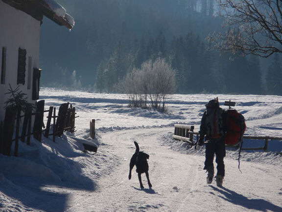 Winterimpressionen Rauschberg